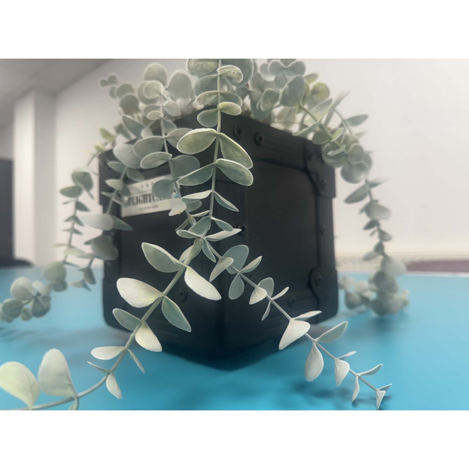 Flightcase Plant Pot Black Edition